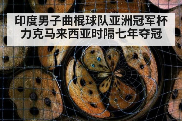 印度男子曲棍球队亚洲冠军杯力克马来西亚时隔七年夺冠